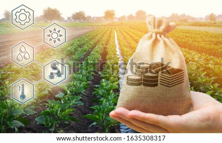 Money bag on the background of agricultural crops in the hand of the farmer. Agricultural startups. Profit from agribusiness. Development of innovation and research agriculture. Investing in farming.
