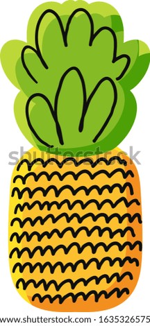 Natural pineapple hand drawn vector illustration. Ripe tropical fruit, ananas doodle drawing