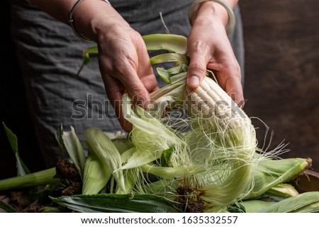 Female hands shucking fresh white sweet corn. Royalty-Free Stock Photo #1635332557