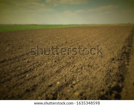 Plowed field on a sunny day. Agricultural landscape. Soft focus and vignetting.