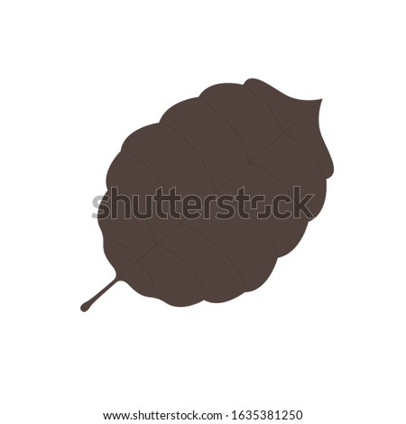 Isolated dry leaf. autumn season - Vector illustration