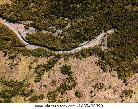 Drone aerial top view of green pine trees in green forest and mountain road in Madeira Island, Portugal.
