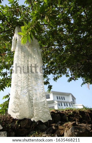 wedding dress that is hung on a tree for wedding decoration