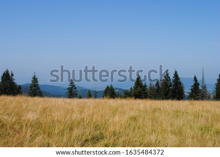 
Untouched grass field in the mountains