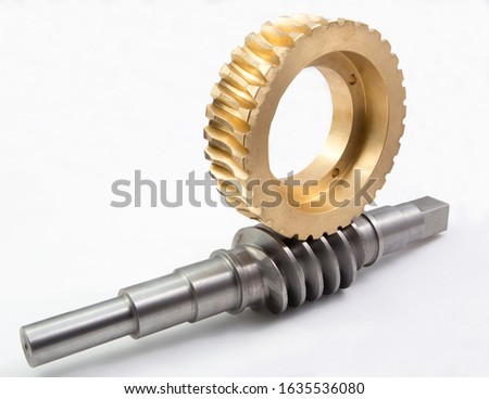 The worm-gear wheel on a white background