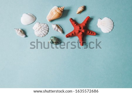 Flat lay abstract marine background. White, brown and red seashells on a green background