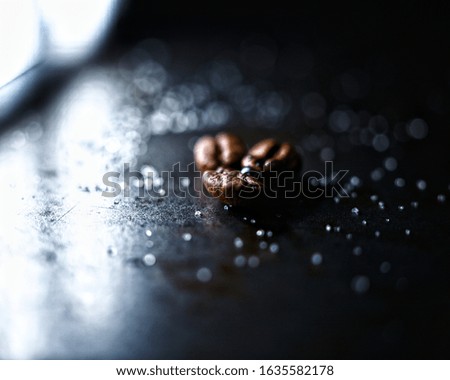 pictures of macro coffee beans