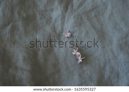 top down view of purple lilac flowers in bloom on blue linen sheet, eco lifestyle concept, still life, space for text,