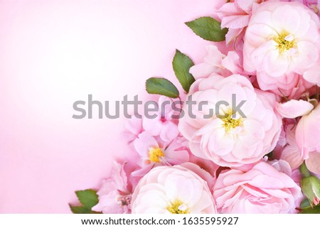 Pink spring blooming flowers or summer blossoming delicate roses festive background, pastel and soft bouquet floral card, selective focus, toned