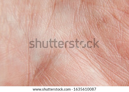 fragment of the skin of a human palm. Macro shot of palm lines. Royalty-Free Stock Photo #1635610087