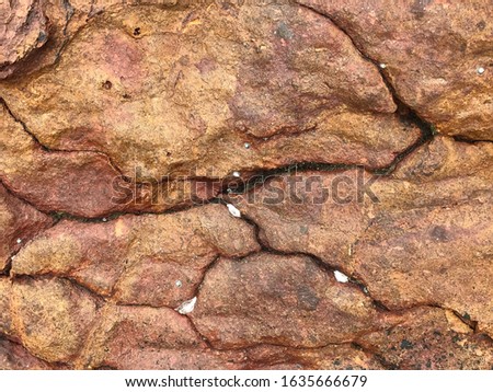 Seamless colorful rock texture background closeup.