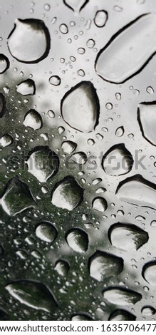 Foreground picture of raindrops, with tree in background.