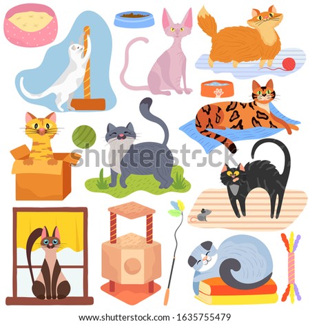 Cats of different breeds, set of stickers with cute kitty pets, vector illustration. Funny animals cartoon characters, playful kitten, toys and accessories for domestic pet. Various cats, bengal and