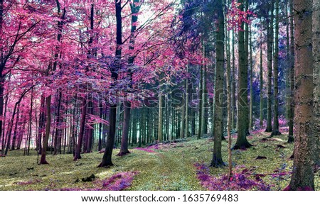 Infra red view into a magical pink and purple forest