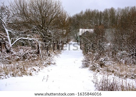 old collapsed houses in the winter forest, beautiful winter landscap