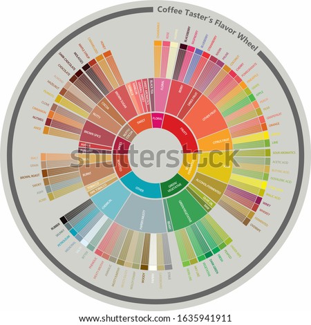 the coffee taster flavour wheels  Royalty-Free Stock Photo #1635941911