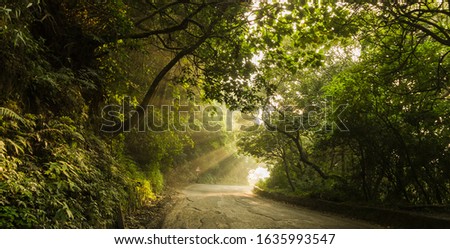 The road path passing through the beautiful Nilgiri mountains.