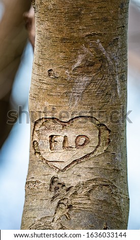The name FLO carved into the heart of the tree bark