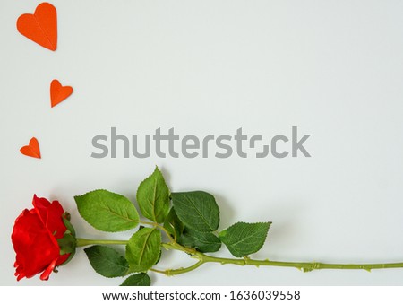 Beautiful romantic background whit red rose and red hearts. Ideal for valentine's day. Copyspace for your text
