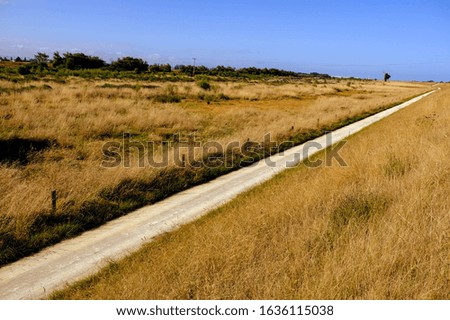 Country dirt road and blue sky
