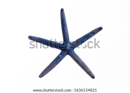 Isolated blue starfish on white background 