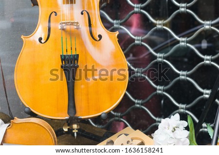 Musical instrument violin on shop window