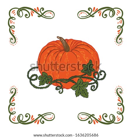 Vector illustration of orange pumpkins isolated on a white background. Hand drawn elements. Sticker, emblem, print, ikon. 