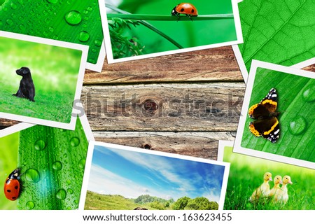 pile of green nature pictures on wooden table