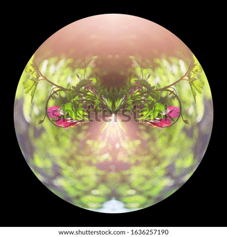 Planet in a pink haze with a thriving dicentral. Isolated on a black background