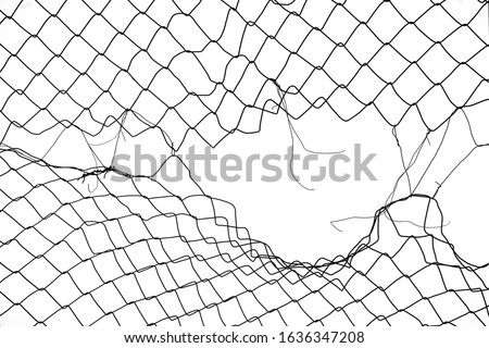 damage wire mesh on white background. Mesh netting with hole isolated on white background             Royalty-Free Stock Photo #1636347208