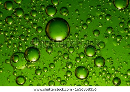 Bubbles of oil in the water.  Abstract green texture.