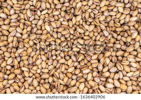 Closeup top view flatlay photography of many pistachios nuts. Organic food texture as photo background.