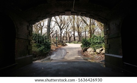 Central Park from under a bridge in New York City