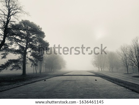 Tee box in the foggy winter