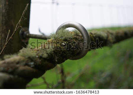 Mossy rope with metal ring