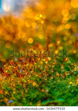 Bright yellow lights and shiny golden twinkle abstract bokeh