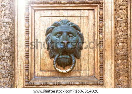 Metal and wood. Fragment of an old wooden door with a bronze door handle in the shape of a lion's head, close-up.