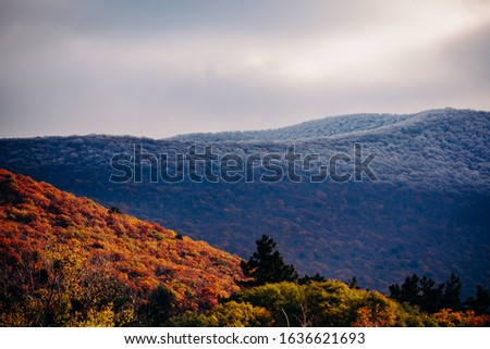 Caucasus mountains in late autumn. Distant slopes in the snow, and at the foot of the yellow trees.At the top of the hill, the forest is covered in snow. At the foot of the trees are yellow