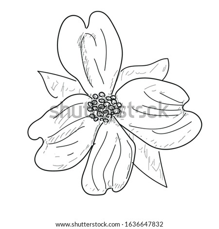 Isolated flower sketch. Spring season - Vector illustration