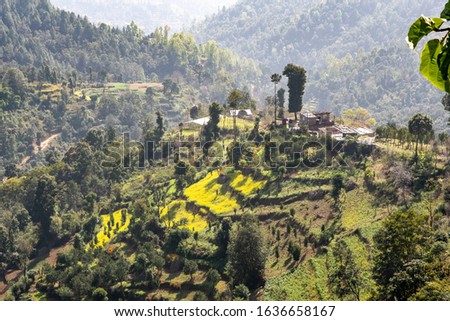 Rice fields and yellow sesame fields on the hills around the Thrangu Tashi Namobuddha monastery in Nepal.
 Royalty-Free Stock Photo #1636658167