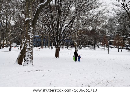 Clark Park after a snow storm, West Philadelphia, Pennsylvania, USA