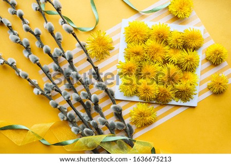 spring composition. small bouquet of dandelions, willow twigs and an envelope