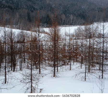 Winter landscape in Bromont, Eastern township  Quebec, Canada