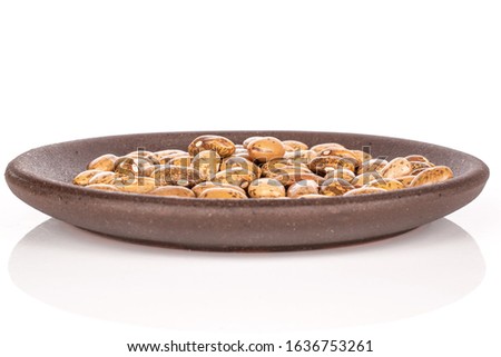 Lot of whole mottled brown bean pinto with brown ceramic coaster isolated on white background