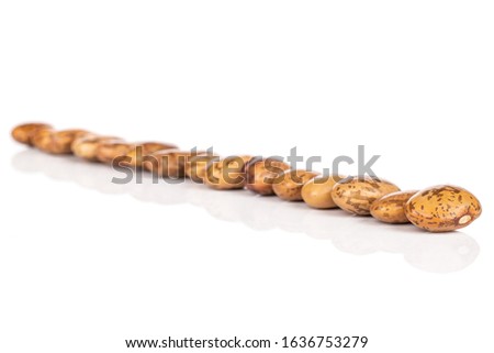 Lot of whole mottled brown bean pinto in row isolated on white background