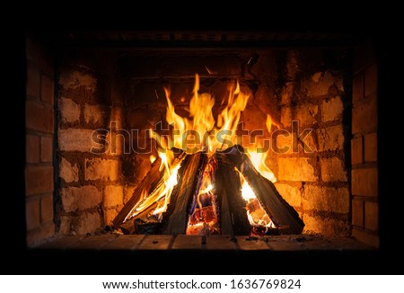 Fireplace. Firewood burning in a fireplace close-up