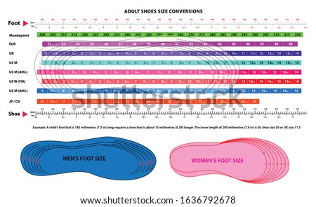 set of shoes chart size or socks chart size or measurement foot chart concept. Eps 10 vector