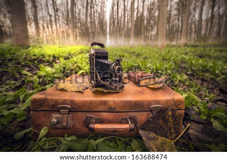 vintage suitcase and camera