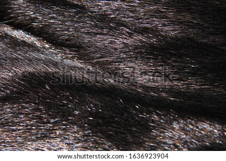 Black mink fur with drapery