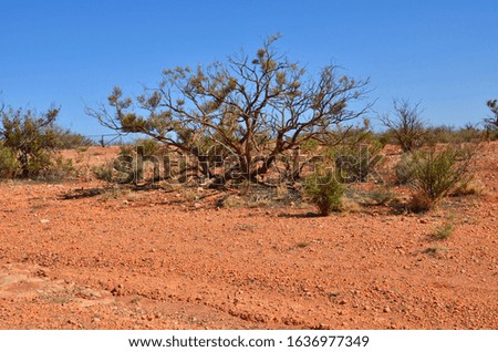 Norther Territory Nature in Australia 